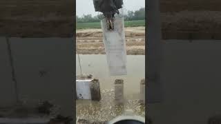 River embankment cofferdam cement board installation process [upl. by Gerrald787]