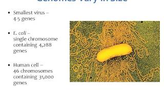 BI280 Chapter 9 Microbial Genetics  Part 1 of 5 [upl. by Argent49]