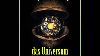 Das Universum in der Nussschale  Hörbuch [upl. by Enimrej]