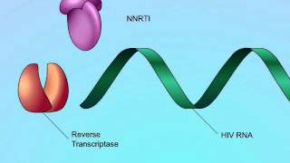 Mechanisms of Action of NonNucleoside Reverse Transcriptase Inhibitors NNRTIs [upl. by Eidorb175]