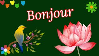 BONJOUR  Bonne Journée  🍀🌺🦜 [upl. by Ydneh]