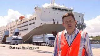 Livestock Transport Take a ship tour onboard MV Becrux [upl. by Riker]