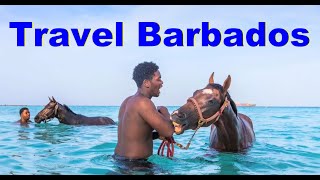 Barbados Travel Tips and Advice  A Barbados Travel Guide  Travel Media and Trade [upl. by Ayvid]