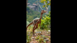 Discovering Coelophysis The Agile Dinosaur [upl. by Aanas994]