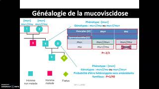 Mucoviscidose et médecine prédictive  étude dun arbre généalogique et calcul du risque génétique [upl. by Eizus862]