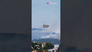 Thousands Flee as Wildfires Threaten Athens [upl. by Idola360]