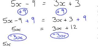 Solving Equations with Unknowns on Both Sides Grade DLevel 6 [upl. by Malaspina]