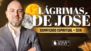 As lágrimas de José significado espiritual  Como entrar no propósito de DeusViniciusIracet [upl. by Welch471]