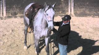 Bridling the really hard to bridle horse that is 171 hands high [upl. by Adaline]