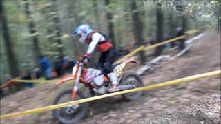 Deutsche Meisterschaft Enduro Rund um Zschopau 2023 MotoCross Offroad Motorrad Sport [upl. by Winfred]