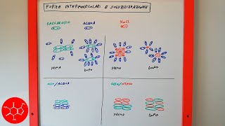 Solubilità di sostanze polari e apolari interpretata con le forze intermolecolari  lezione chimica [upl. by Vincents]