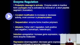 Enzyme Phosphorylation Covalent modification Metabolism Made Easy [upl. by Aketahs]