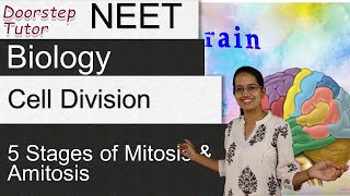 Cell Division  Mitosis amp Amitosis 5 Stages of Mitosis  Memory Tricks  NEET  AIIMS  MCAT [upl. by Gemini561]