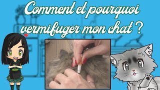 COMMENT VERMIFUGER SON CHAT [upl. by Llehctim]