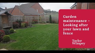 Taylor Wimpey  Garden maintenance  looking after your lawn and fence [upl. by Lenahc595]