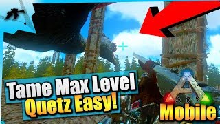 Ark Mobile How To Tame A Max Level Quetzal SoloEasy Taming PeniOSAndroid Total Beginners Guide [upl. by Gadmann]