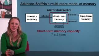 VCE Psychology  AtkinsonShiffrins MultiStore Model of Memory [upl. by Annahvas687]