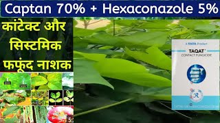 Capton  Hexaconazole fungicide Tata rallis Taqat fungibest fungicide for all crop [upl. by Eenimod356]