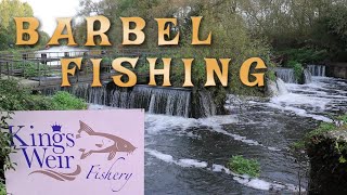 Barbel Fishing  Kings Weir Fishery [upl. by Yrian]