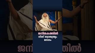 ജനിതകത്തിൽ നിന്ന് സ്വാതന്ത്ര്യം നേടാം Freedom From Genetics  Sadhguru Malayalam sadhguru meditate [upl. by Nnaharas]