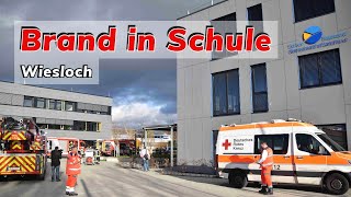 Brand in Schultoilette in Wiesloch  340 Schüler evakuiert war es Brandstiftung [upl. by Sada584]