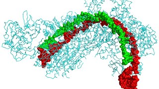 CRISPR CAS9 [upl. by Aletse]