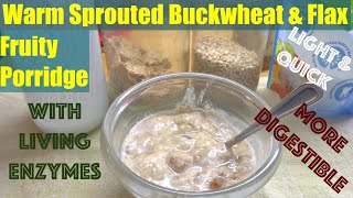 Buckwheat amp Flax Porridge warmed only 2 retain raw living enzymes Better Digestibility Low Carbs [upl. by Iover513]