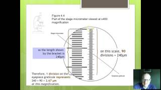 OCR Biology 3 Using graticules [upl. by Aihsemek]