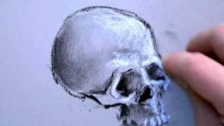 Charcoal Drawing of a Skull Part 1 [upl. by Naihr498]