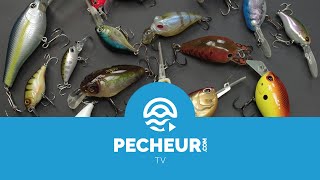 Quels leurres pour débuter la pêche des carnassiers  Tutoriel Pecheurcom [upl. by Sandell]