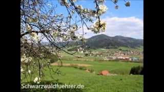 Frühling in Gutach im Elztal bei Freiburg [upl. by Sollars]