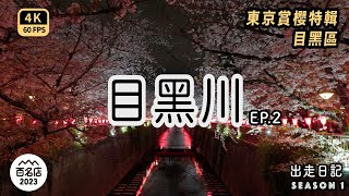 Mal｜〖東京櫻花季EP2〗目黑區篇 目黑川櫻花季夜間點燈 東京星巴克烘焙工坊 收集附近的百名店餐廳 4K60p Travel [upl. by Ettennan]