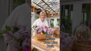 How to Prune A Lilac Bush [upl. by Wood]