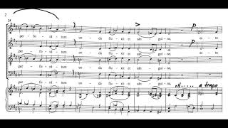 Ave verum corpus Mozart  Bass practice [upl. by Hun]