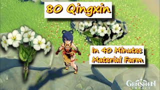 80 Qingxin in 40 Minutes Material Farm  Genshin Impact [upl. by Meil]