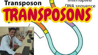 TRANSPOSONS  TAMIL EXPLANATION [upl. by Ecaj]