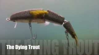 The Bettencourt Baits Dying Trout Swimbait [upl. by Moffat]