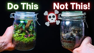 10 ESSENTIAL Terrarium Tips For Beginners [upl. by Nnairda]