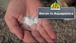 Boron in Aquaponics Systems [upl. by Nonnair]