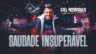 Ciel Rodrigues  Saudade Insuperável DVD Ao Vivo em Goiânia [upl. by Eirotal272]