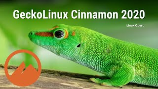 GeckoLinux Cinnamon Chat [upl. by Eznyl]