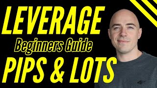 Forex Leverage for Beginners Explained lot sizes and pips [upl. by Fayina]