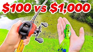 100 vs 1000 Budget Fishing Challenge Rod Reel Lures [upl. by Neram793]