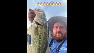 BLACK AND BLUE JIG ABSOLUTELY DESTROYS BASS  PLUS SOME BONUS SLABS  NEW PB [upl. by Nemracledairam]