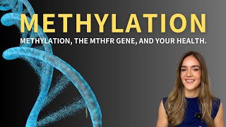 Methylation the MTHFR gene and your health [upl. by Ladnik]