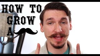 How To Grow and Style a Handlebar Mustache  A Tutorial  Matt Tastic [upl. by Remde]