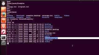 Moving and Copying Files and Directories in Linux [upl. by Airotkiv]