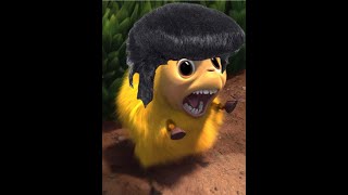 Katie Goes James Brown  Horton Hears a Who Meme [upl. by Colpin]