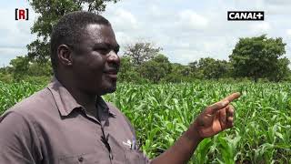 Burkina Faso  Palenfo Nahondomo roi du manioc [upl. by Aeriela535]