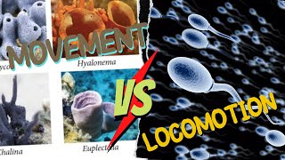 Difference Between Locomotion and Movement by Sir Zaid Iqbal thelearnersinn [upl. by Annaliese]